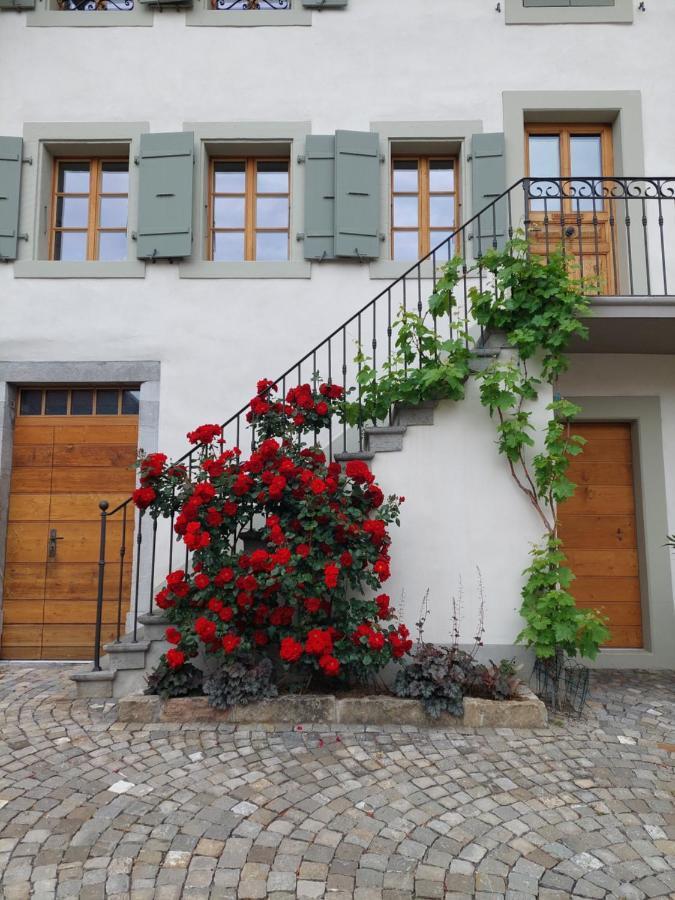 Bed and Breakfast Aux Trois Soleils Шебр Экстерьер фото