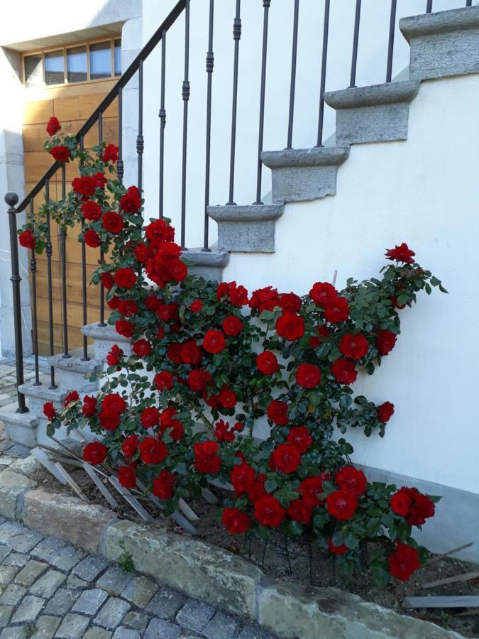 Bed and Breakfast Aux Trois Soleils Шебр Экстерьер фото